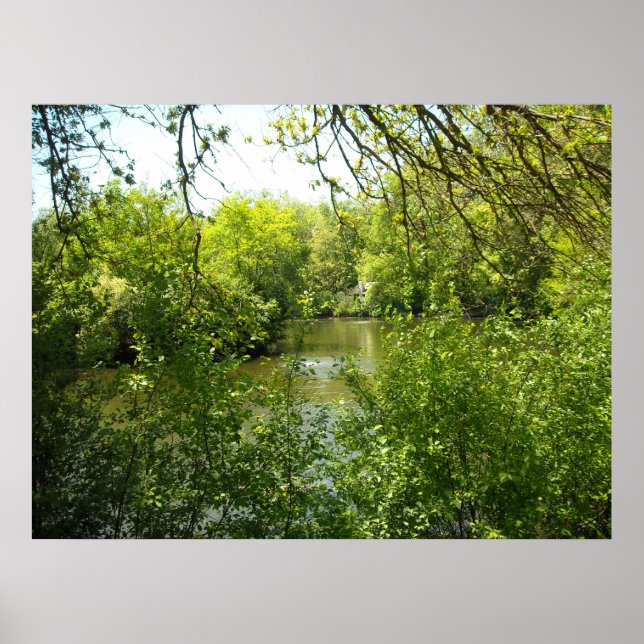 A cottage tucked away poster (Front)