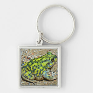 A Couch's Spadefoot toad Key Ring