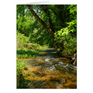 A Country Creek