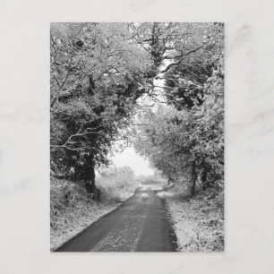 A Country Road in Winter Postcard