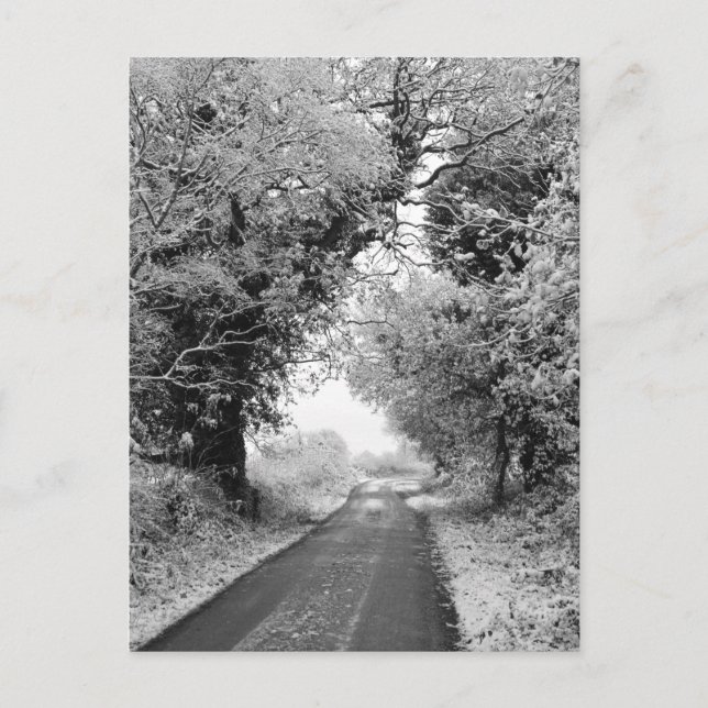 A Country Road in Winter Postcard (Front)