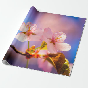A Couple Of Sakura Flowers Wrapping Paper