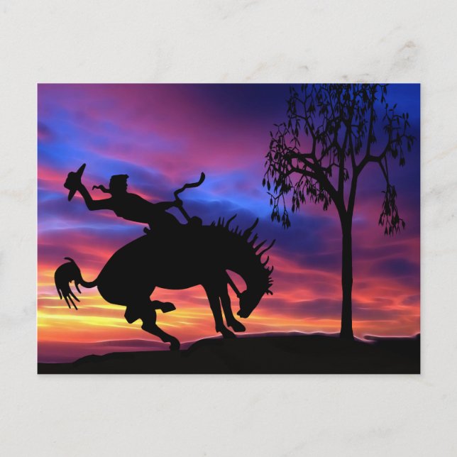 A cowboy silhouette at sunset postcard (Front)