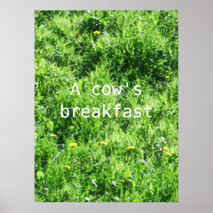 A cow's breakfast poster