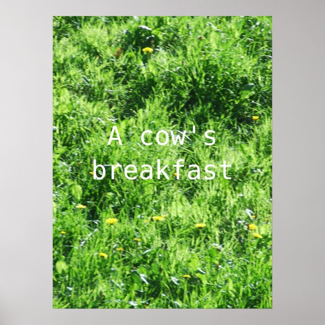 A cow's breakfast poster (Front)