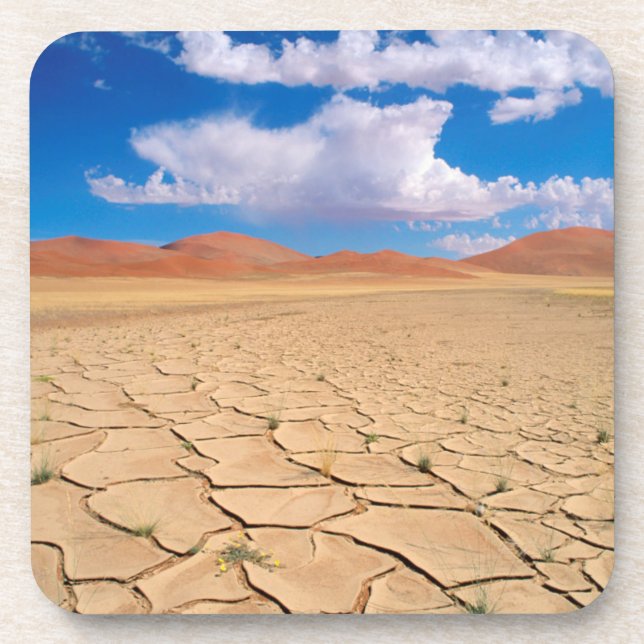 A cracked desert plain coaster (Front)