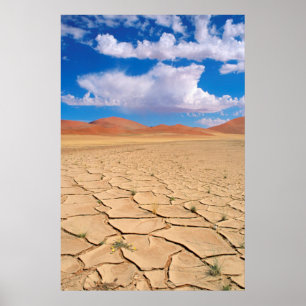 A cracked desert plain poster