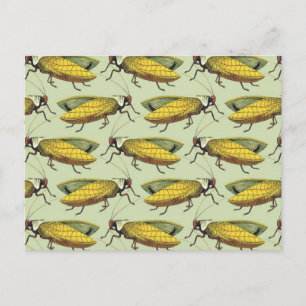 A Crowd of Katydids Postcard