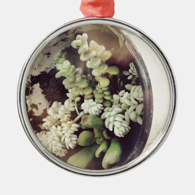 A cup full of succulent plants metal tree decoration (Front)