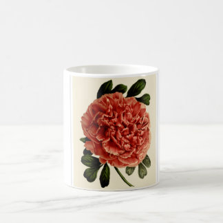 A cup with beautiful read flower.