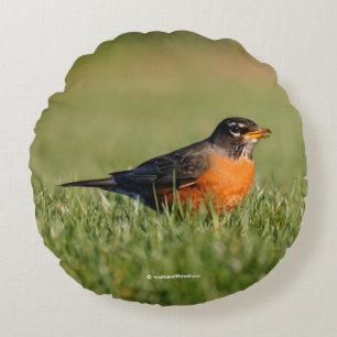 A Curious American Robin Round Cushion