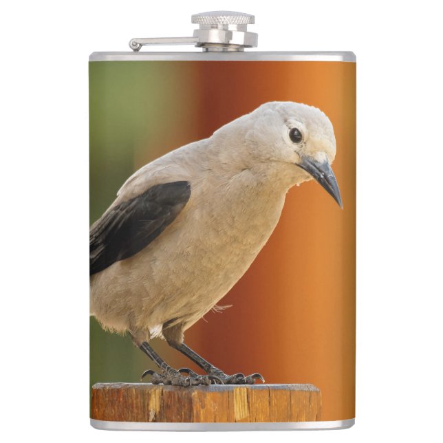 A Curious Clark's Nutcracker Hip Flask (Front)