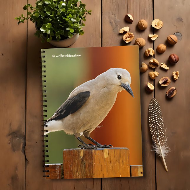 A Curious Clark's Nutcracker Notebook (Curious Clark's Nutcracker Journal Cover Photo)