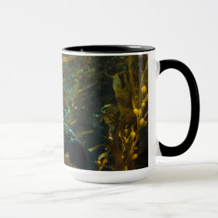 A Curious Harbour Seal Kelp Forest Santa Barbara Mug