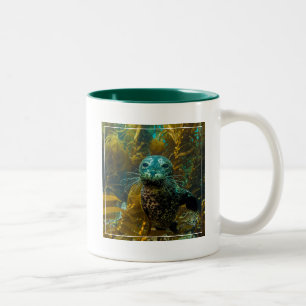 A Curious Harbour Seal Kelp Forest Santa Barbara Two-Tone Coffee Mug