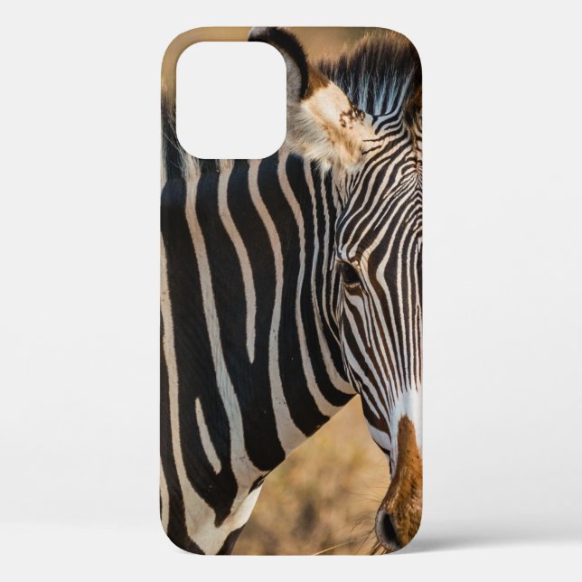 A CURIOUS ZEBRA AT SAMBURU NATIONAL RESERVE Case-Mate iPhone CASE (Back)
