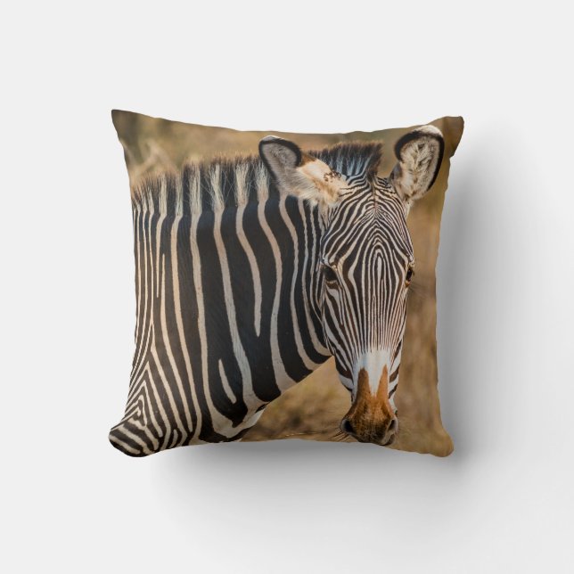 A CURIOUS ZEBRA AT SAMBURU NATIONAL RESERVE CUSHION (Front)