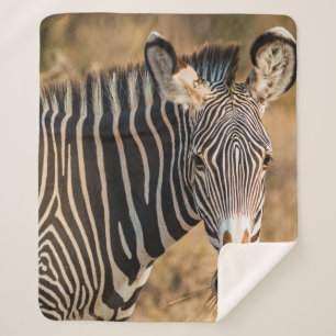 A CURIOUS ZEBRA AT SAMBURU NATIONAL RESERVE SHERPA BLANKET