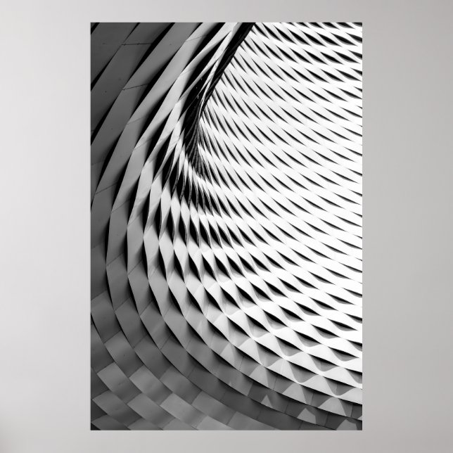 A CURVED FACADE COVERED IN WHITE LATTICEWORK POSTER (Front)