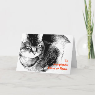 A Customisable 'Any Occasion' Greeting Card - Cat