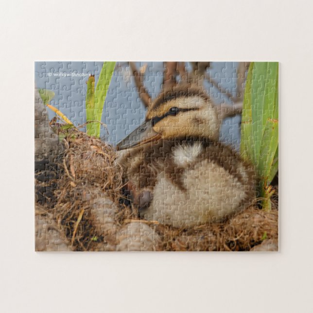 A Cute and Precocious Mallard Duckling Jigsaw Puzzle (Horizontal)