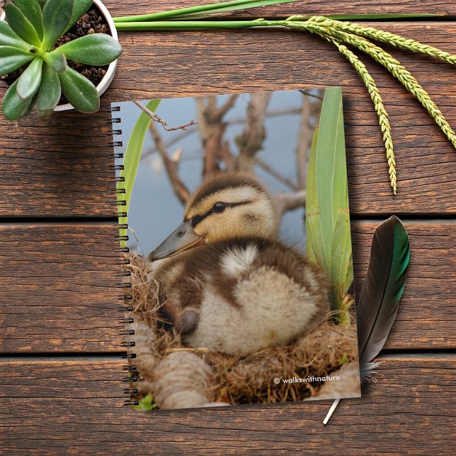 A Cute and Precocious Mallard Duckling Spiral Notebook (Mallard Gosling at the Pond Journal Cover Photo)