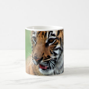 A cute baby tiger coffee mug