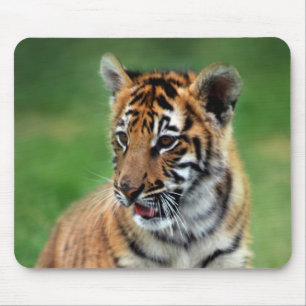 A cute baby tiger mouse pad