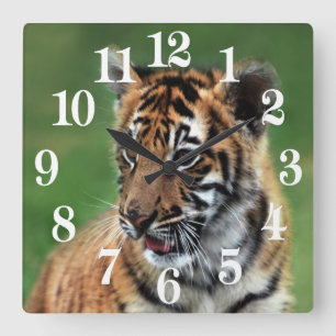A cute baby tiger square wall clock