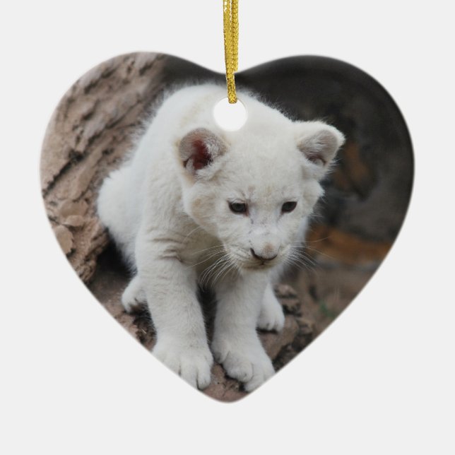 A cute baby white lion ceramic tree decoration (Front)