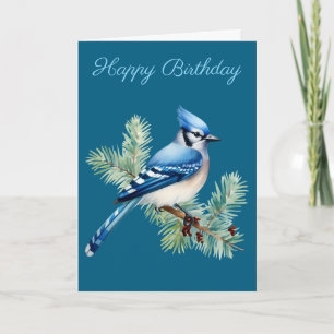 A Cute Blue Jay Card