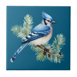 A Cute Blue Jay  Tile