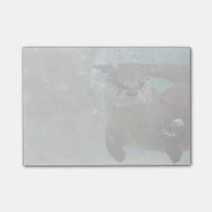 A cute Brown otter swimming in a clear blue pool Post-it Notes