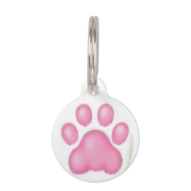 a cute cat's paw. pet tag (Front)