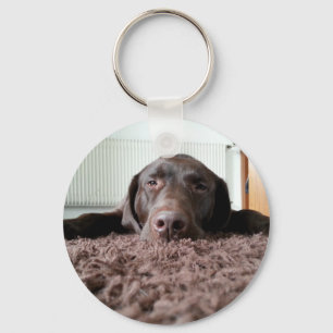 a cute chocolate lab puppy sleeping in a house key ring