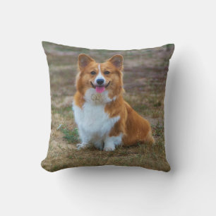 A cute Corgi dog throw pillow