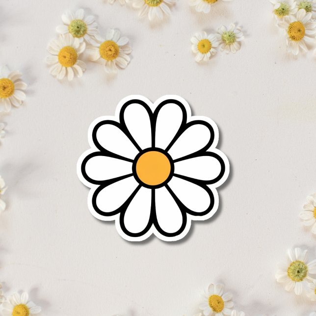 A cute daisy flower (Creator Uploaded)