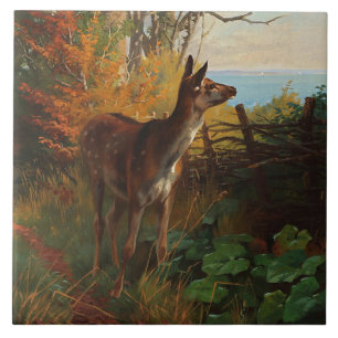 A Cute Deer In The Forest Tile