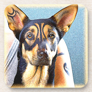 "A Cute Dog" Cute Photo. Buy Now Coaster