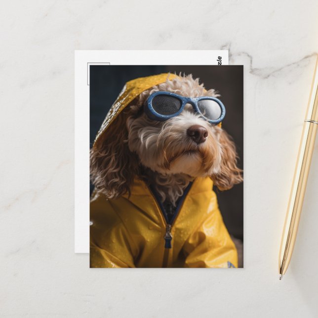 A Cute Dog in a Yellow Raincoat Postcard (Front/Back In Situ)