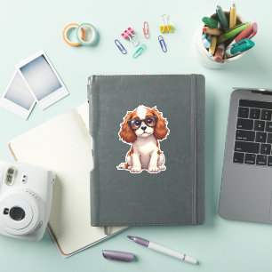 A cute dog King Charles Spaniel COPY