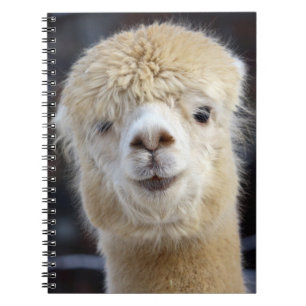 A cute fluffy face of an alpaca       notebook
