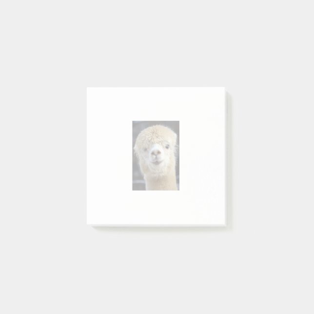 A cute fluffy face of an alpaca     post-it notes (Front)