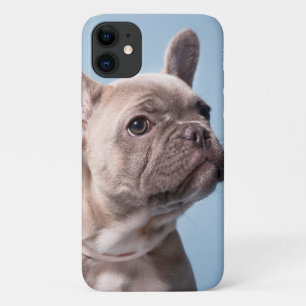 A Cute French Bulldog Case-Mate iPhone Case