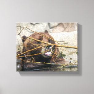 A Cute Grizzly Bear playing in the Water Canvas Print