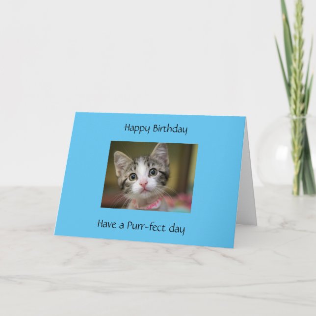 A cute kitten with green eyes card (Front)