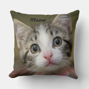 A cute kitten with green eyes cushion