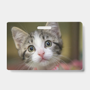 A cute kitten with green eyes ID badge
