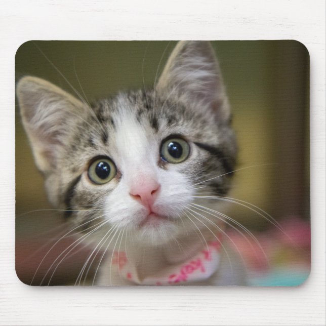 A cute kitten with green eyes mouse pad (Front)