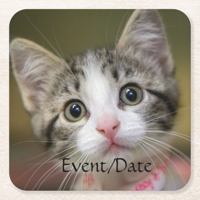 A cute kitten with green eyes square paper coaster (Front)